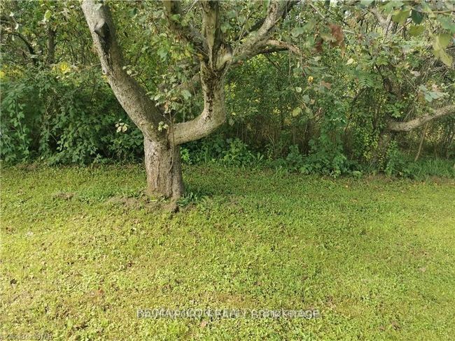 237 Frederick Street, Home with 0 bedrooms, 0 bathrooms and null parking in Southwest Middlesex ON | Image 10
