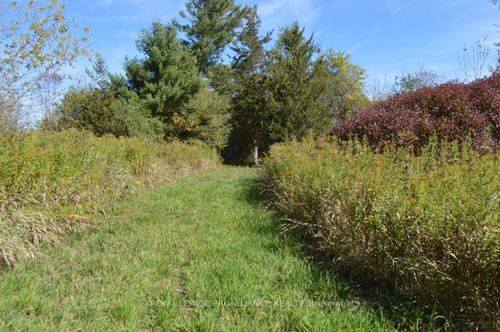 00 Scriver Road, Brighton, ON, K0K1H0 | Card Image