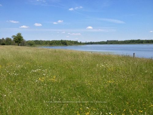 0 N O'Reilly Lane, Kawartha Lakes, ON, K0M2T0 | Card Image