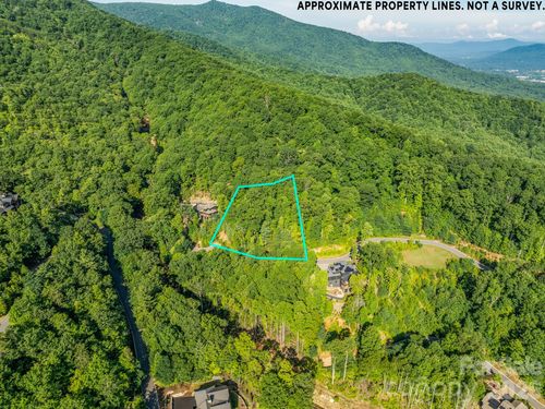 59 Old Greybeard Loop, Black Mountain, NC, 28711-0738 | Card Image