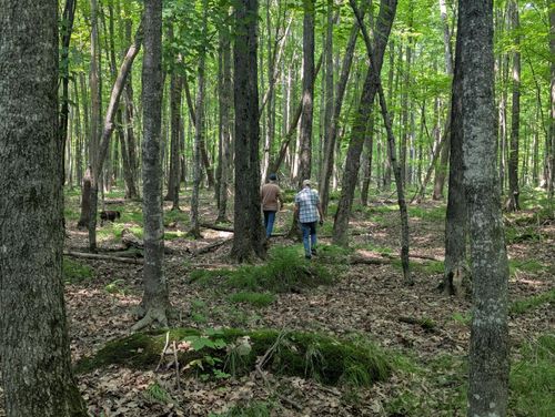 27.5 ac Wausau Rd, Rhinelander, WI, 54501 | Card Image