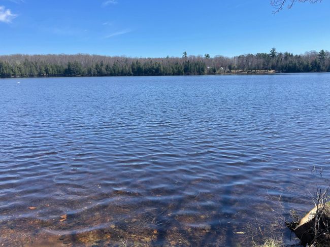 UNIT-6 - 23165 Joy Villa Rd, Condo with 3 bedrooms, 4 bathrooms and null parking in Glidden WI | Image 6