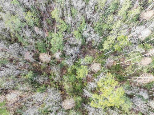 TBD Cr 6 E, Jasper, FL, 32052 | Card Image