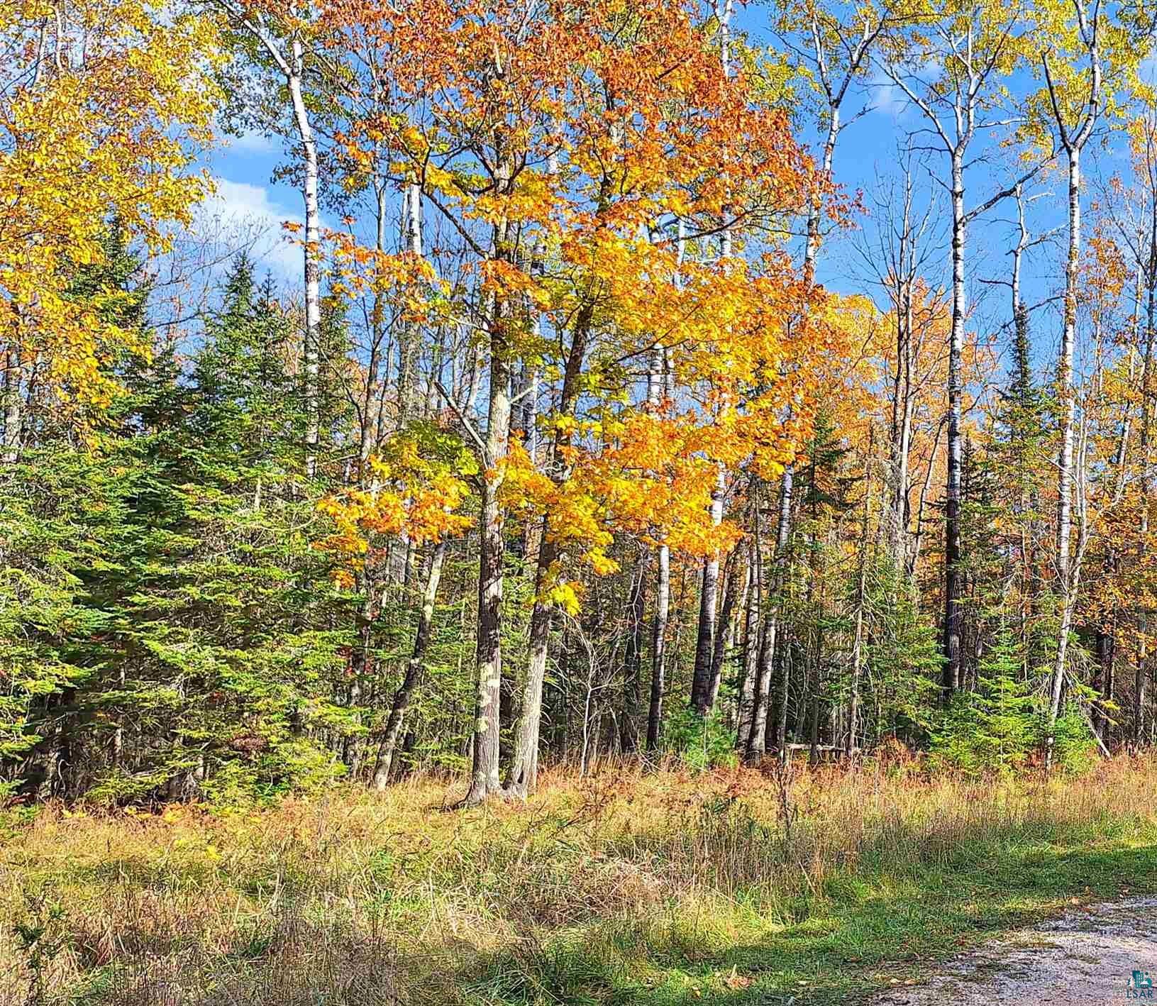 Land in LaPointe 2