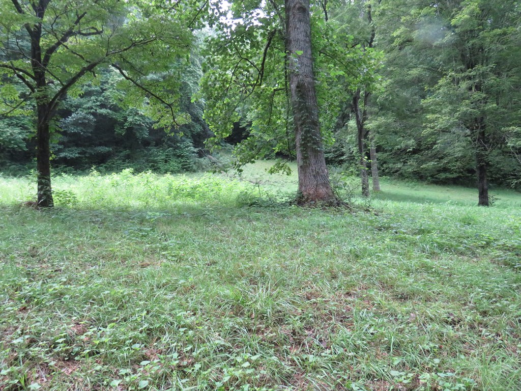 Land in Sylva 3