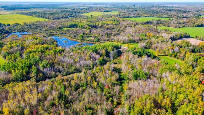 DJI_0161_hdr.jpg | Image 57