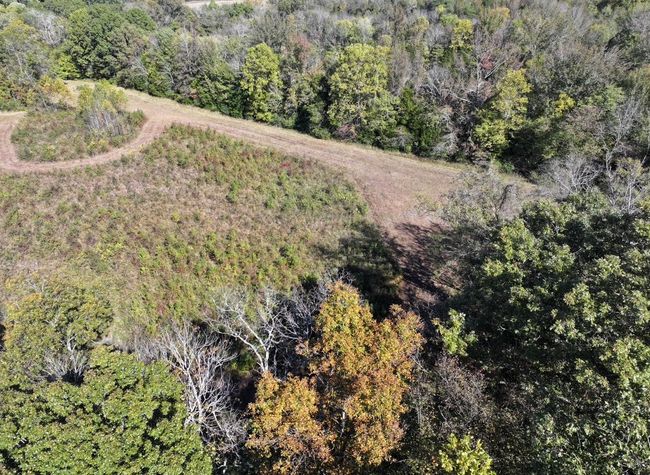 0 Narrows Of The Harpeth Rd, Home with 0 bedrooms, 0 bathrooms and null parking in Kingston Springs TN | Image 11