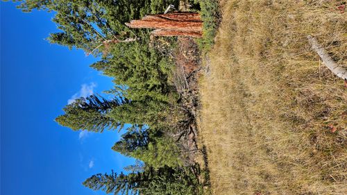 Lot 12 & 19 Elk Trail Loop, Lincoln, MT, 59639 | Card Image