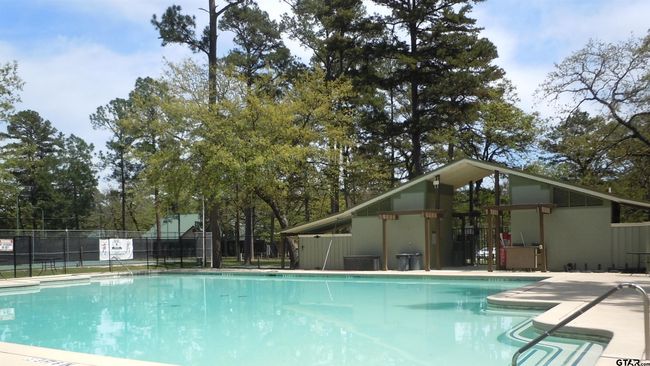 944 Clear Water Trl, House other with 3 bedrooms, 2 bathrooms and null parking in Holly Lake Ranch TX | Image 45