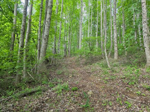 TBD Bent Nail Rd, Hillsville, VA, 24343 | Card Image