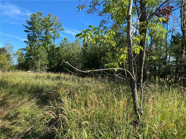 3 acres 7th Street, Home with 0 bedrooms, 0 bathrooms and null parking in Weyerhaeuser WI | Image 6