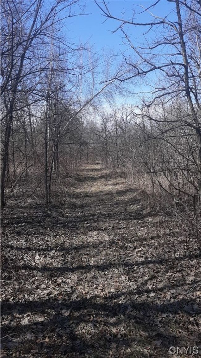 0 County Route 25, Home with 0 bedrooms, 0 bathrooms and null parking in Antwerp NY | Image 16