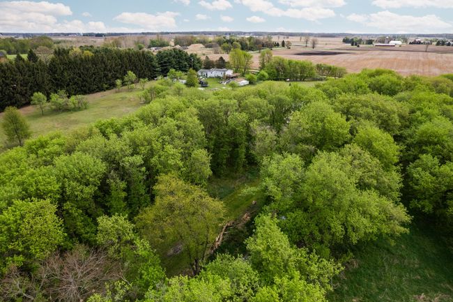 Lots of trees | Image 28