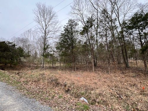 Lot 1234 Indian Camp Dr, Goreville, IL, 62939 | Card Image