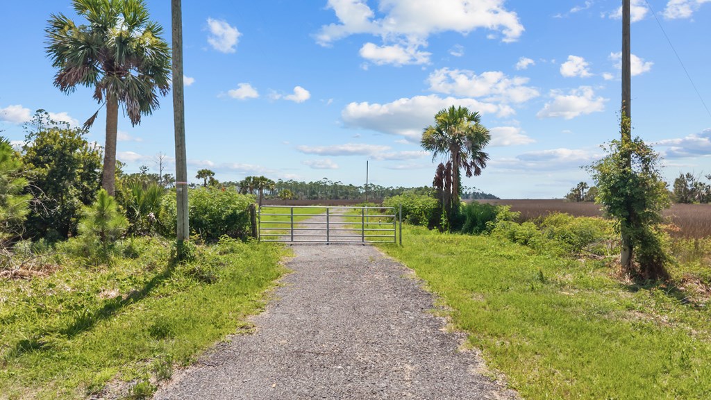 Land in Steinhatchee 3