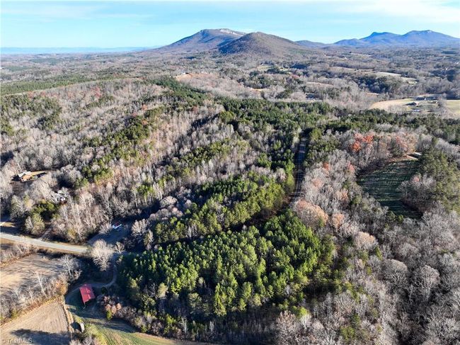 Lot 2- 0 Bowen Rd, Home with 0 bedrooms, 0 bathrooms and null parking in Pinnacle NC | Image 9