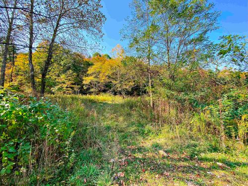 TBD Blizzards Gate Rd, Harman, WV, 26270 | Card Image