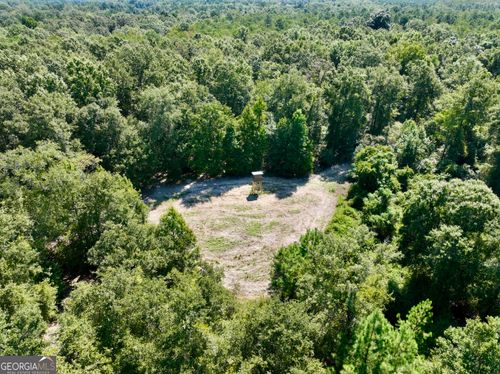 0 Abbeville Hwy, Pineview, GA, 31071 | Card Image