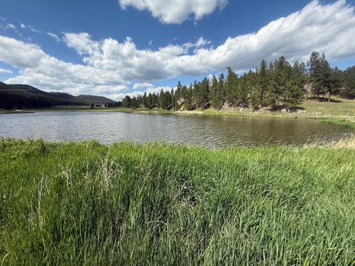 11755 Pleasant Valley Rd, Custer, SD, 57730-8134 | Card Image