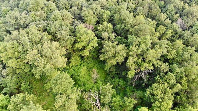E13758 Highway 82, House other with 4 bedrooms, 2 bathrooms and null parking in Stark WI | Image 42