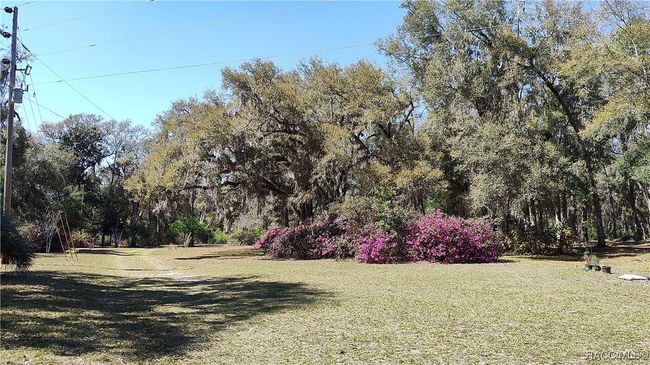 This shot is looking west toward the road...A BIG front yard! | Image 49