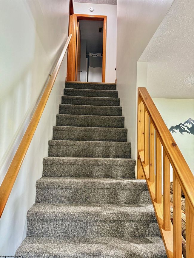 146 Yoakum Run Rd, House other with 4 bedrooms, 3 bathrooms and 3 parking in Davis WV | Image 21
