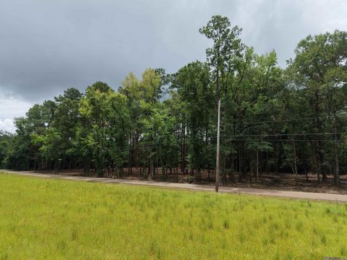 Tract C E Ash St, Ponchatoula, LA, 70454 | Card Image