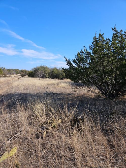 116 Livingston Dr, brownwood, TX, 76801 | Card Image