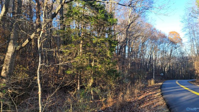 80 acres Rock Creek Rd, Home with 0 bedrooms, 0 bathrooms and null parking in Eva AL | Image 8