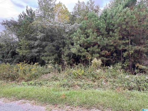 16-17-0 Lost Creek Cir, REMLAP, AL, 35133 | Card Image