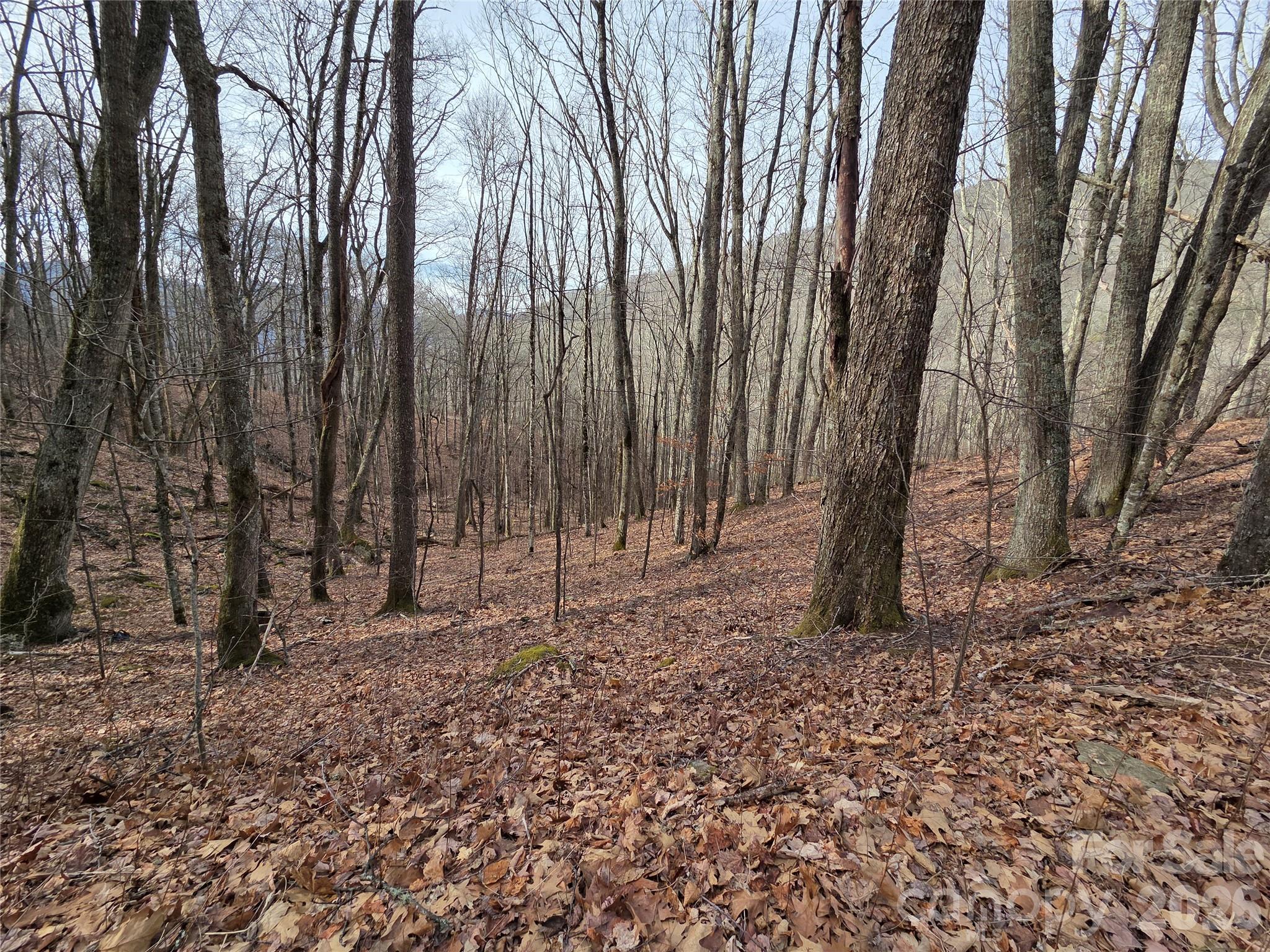 Land in Maggie Valley 2