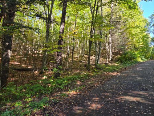 165-ac-ON Moonshine Valley Rd, Presque Isle, WI, 54557 | Card Image