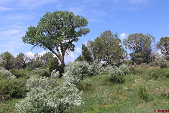 14433 2600 Rd, Home with 0 bedrooms, 0 bathrooms and null parking in Cedaredge CO | Image 35