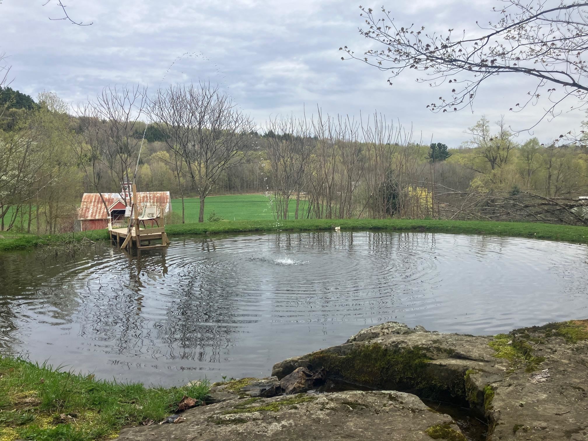 Land in Franklin 4