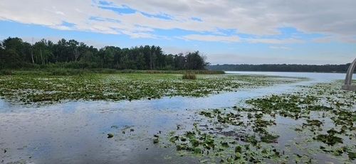 XXXX Forthun Road, Baxter, MN, 56425 | Card Image