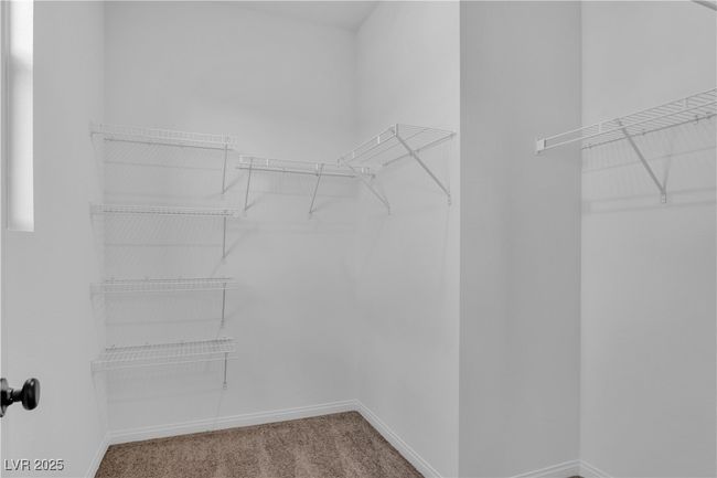 Spacious closet featuring carpet | Image 16