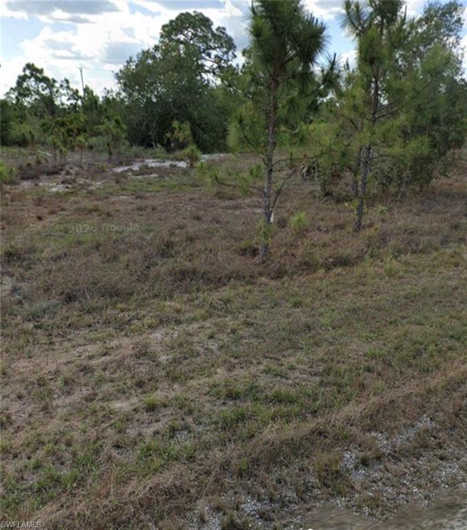 Land in LEHIGH ACRES 2