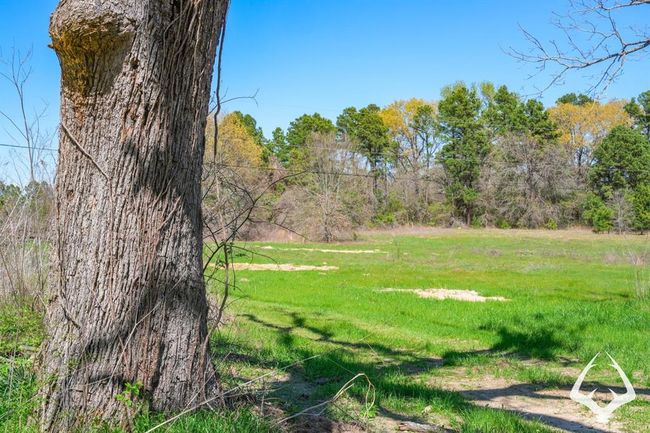 2 E Fm 323, Home with 0 bedrooms, 0 bathrooms and null parking in Palestine TX | Image 12