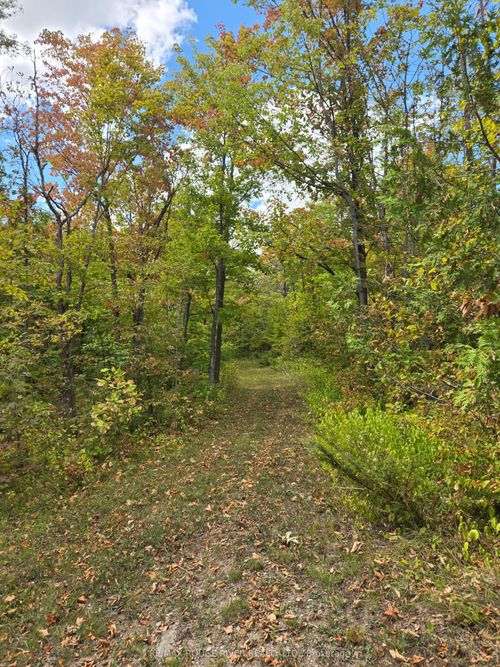 103080 Highway 7 Highway E, Marmora and Lake, ON, K0K2M0 | Card Image