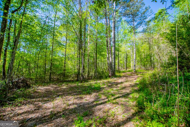 1975 Whooping Creek Rd, Home with 0 bedrooms, 0 bathrooms and null parking in Carrollton GA | Image 15