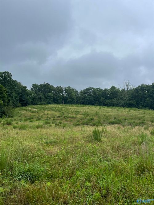 2403 Hog Jaw Rd, Arab, AL, 35016-6401 | Card Image