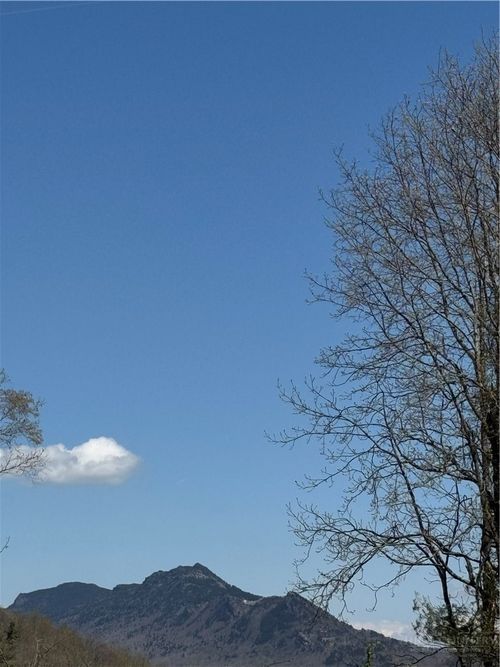 TBD Lot 51 Crestwood Circle, Linville, NC, 28646 | Card Image