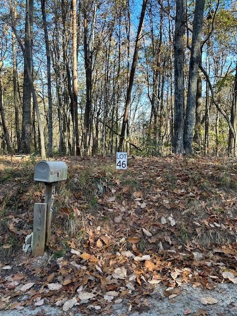 Land in Dawsonville 2