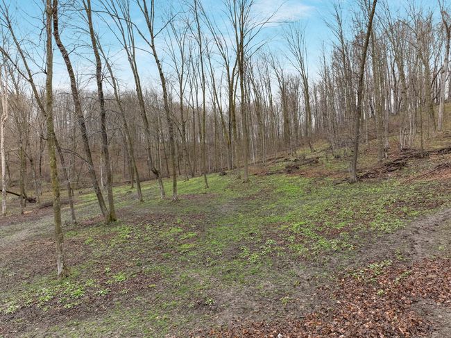 004_dji_0589_830.jpg | Image 4