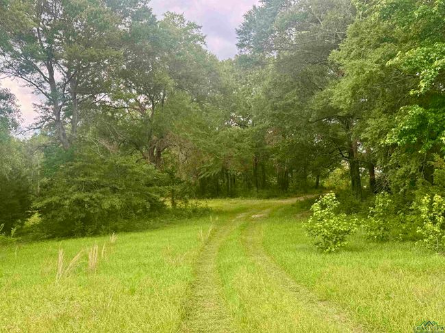 TBD 2174 Tbd 2174, Home with 0 bedrooms, 0 bathrooms and null parking in Tatum TX | Image 6