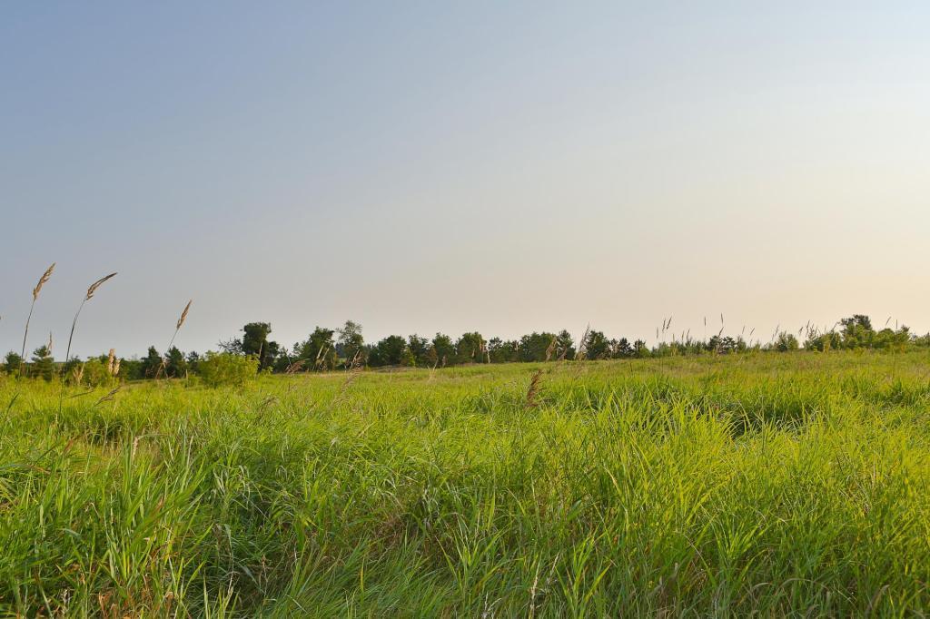 Land in Hudson 2
