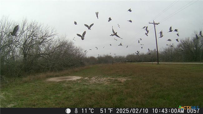 000 Pierce Rd, Home with 0 bedrooms, 0 bathrooms and null parking in Goliad TX | Image 5