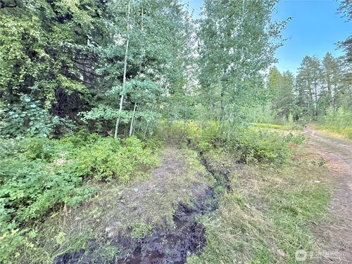 0 Buzzard Lake Rd, Okanogan, WA, 98840 | Card Image