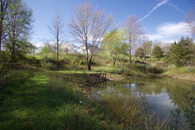 8187 State Road 229, House other with 3 bedrooms, 4 bathrooms and null parking in Metamora IN | Image 14