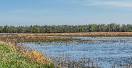 1962 acres Upper Lockhart Road, Cord, AR, 72524 | Card Image